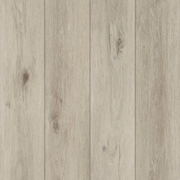 Coretec Naturals + Swamp LVPE859 8mm Luxury Vinyl Flooring