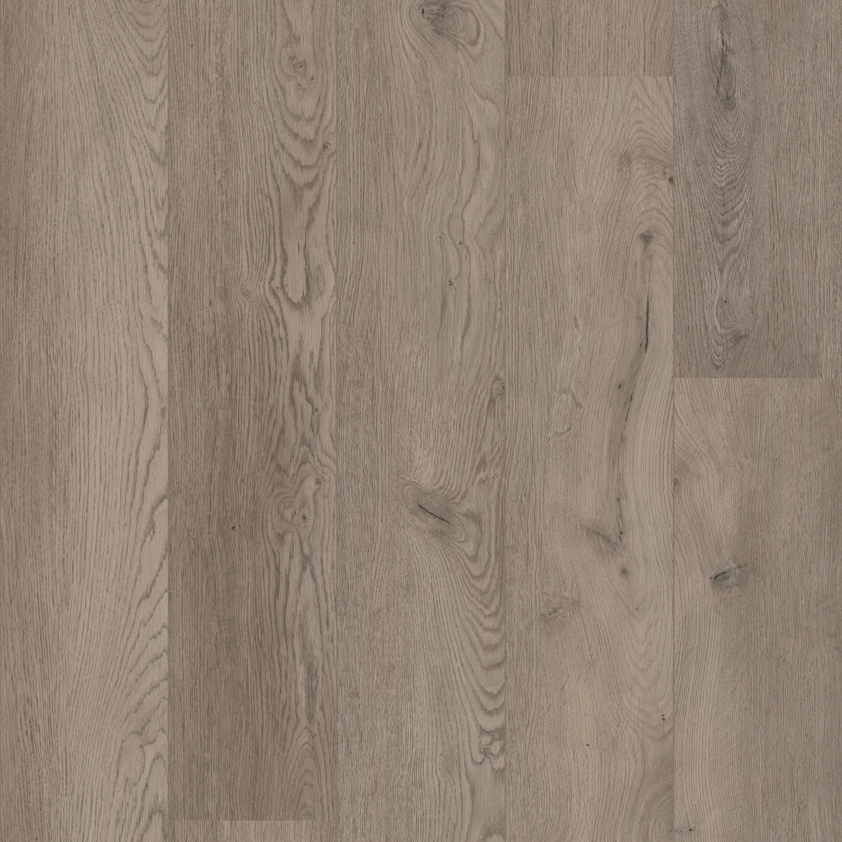 Coretec XL End Lvrexl2594 Belvoir Luxury Vinyl Flooring