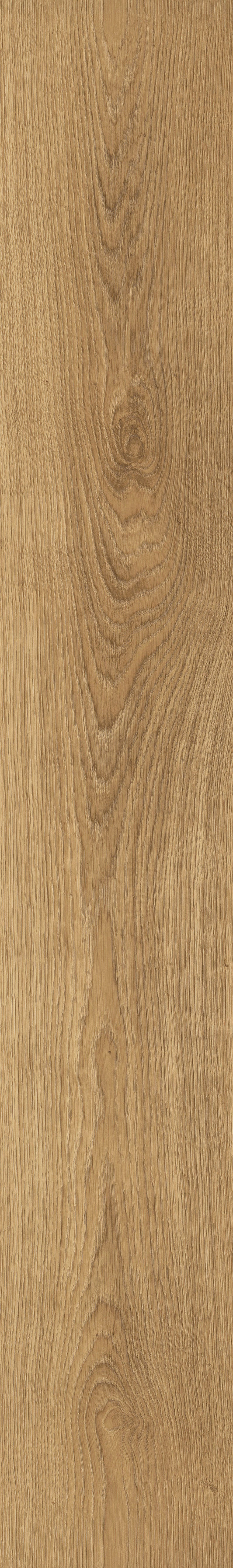 Woodland GLENMORE OAK