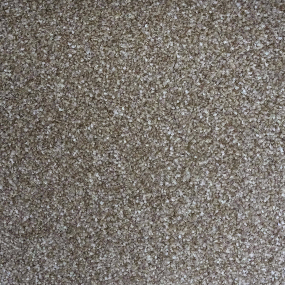 Zadar Dark Beige 6724 Carpet