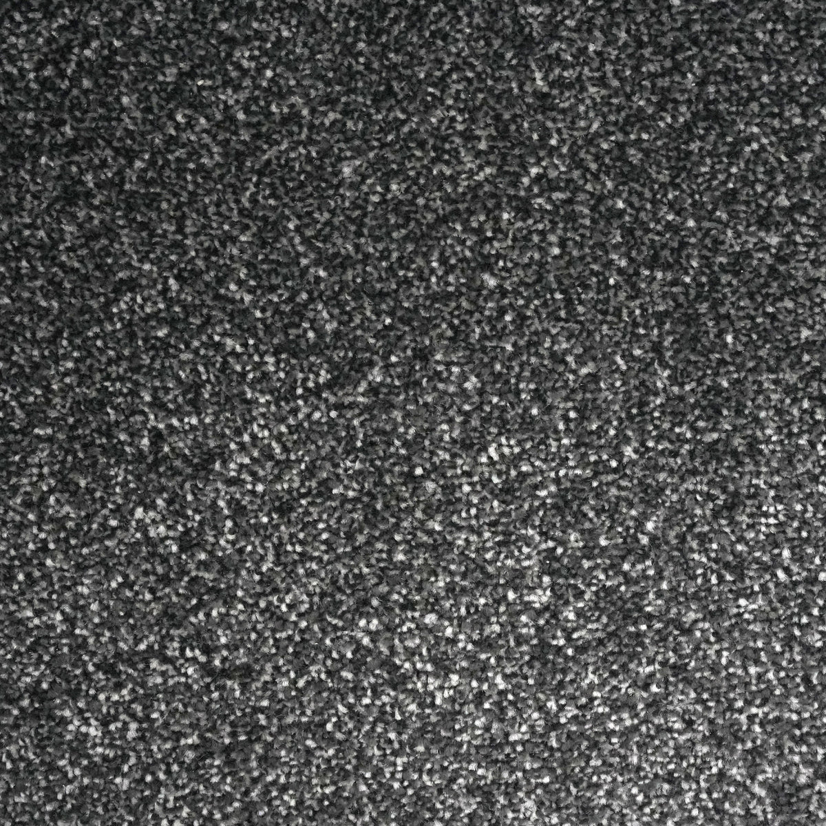 Zadar Pewter 6726 Carpet