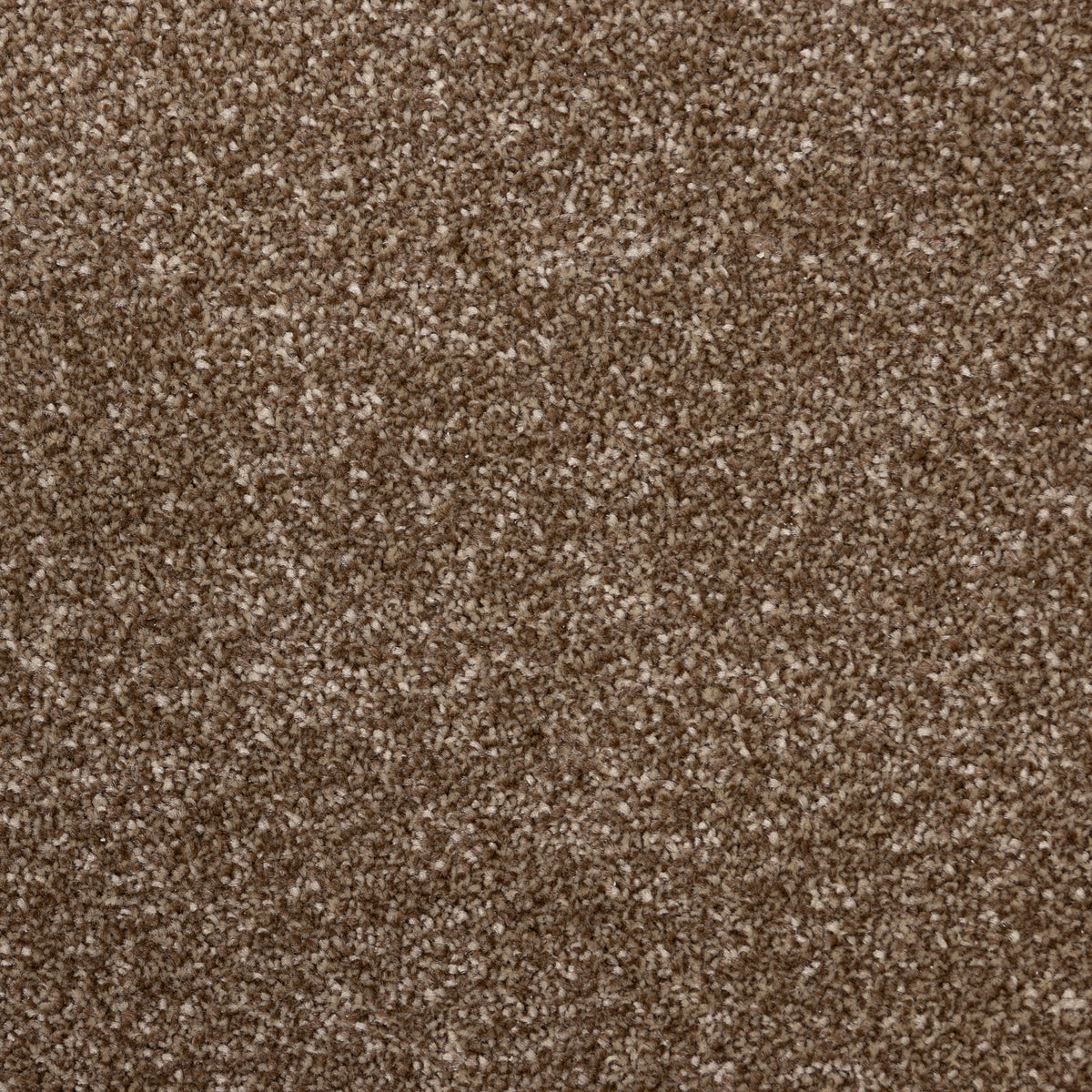 Zadar Mahogany 6731 Carpet