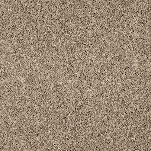 Velvet Dreams Cashmere carpet