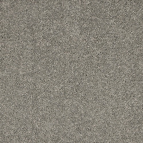 Velvet Dreams Charleston carpet