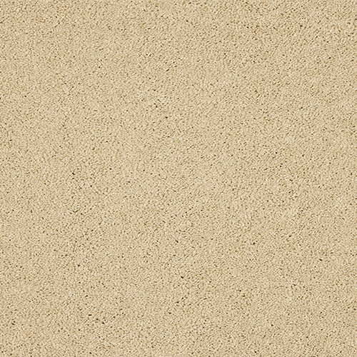Velvet Dreams Double Cream carpet