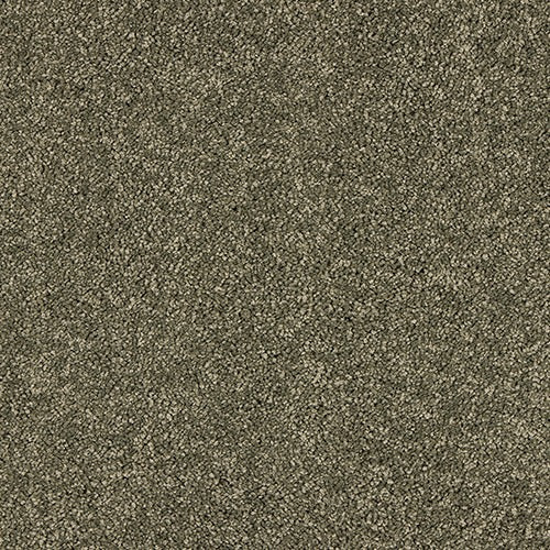 Velvet Dreams Dusty Fern carpet