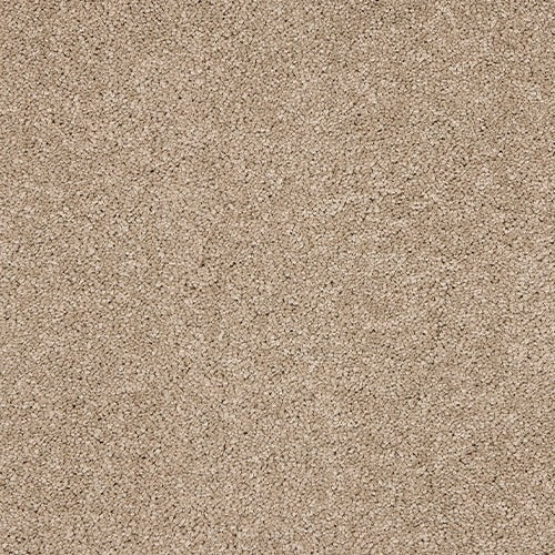 Velvet Dreams Mouse Back carpet