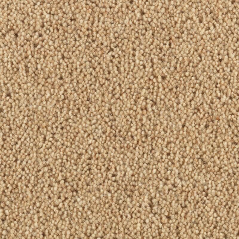 Penthouse Carpets Carlton 36oz Almond Carpet