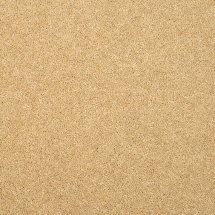 Penthouse Carpets Esprit Nouveau 75oz Altair Carpet