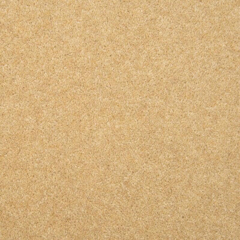 Penthouse Carpets Esprit Nouveau 60oz Altair Carpet