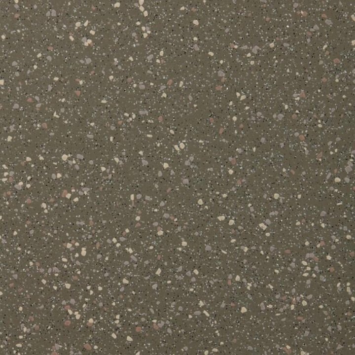 Altro Walkway 20 Savannah Vmi2050 Commercial Flooring