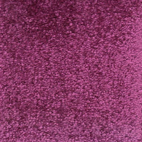 Invicta 2020 Amethyst Carpet