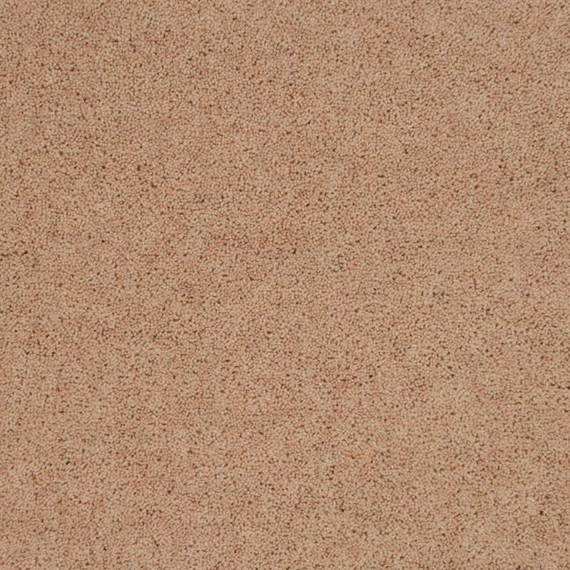 Penthouse Carpets Pentwist Colours 40oz Naturals Ammonite Carpet