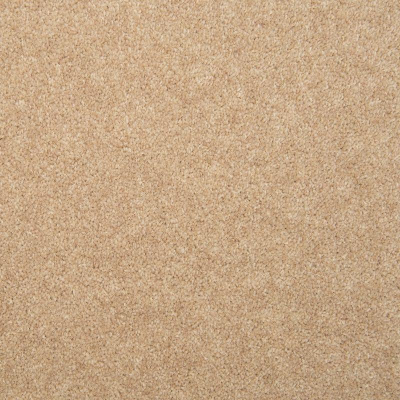 Penthouse Carpets Esprit Nouveau 50oz Andromeda Carpet
