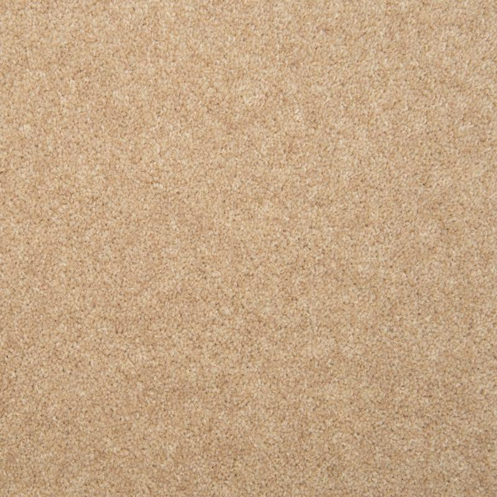 Penthouse Carpets Esprit Nouveau 75oz Andromeda Carpet