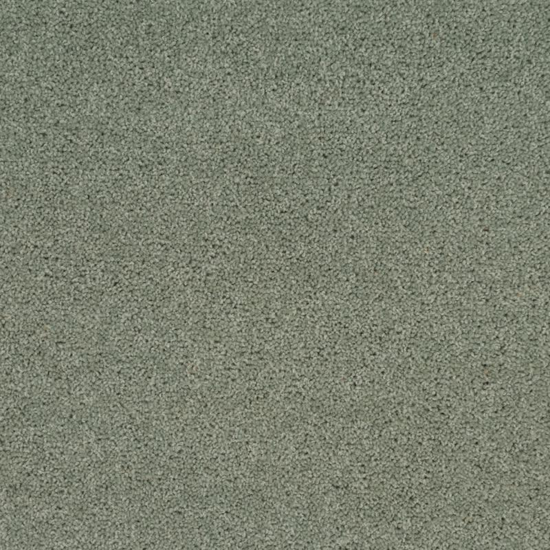 Penthouse Carpets Super Maxim 40oz Angelica Carpet
