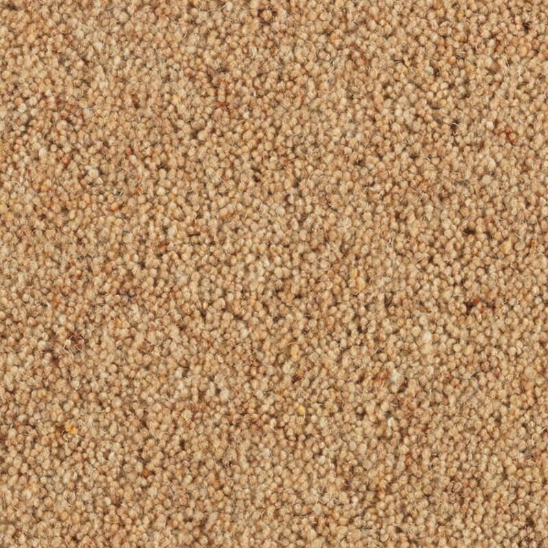 Penthouse Carpets Carlton 36oz Arrowroot Carpet