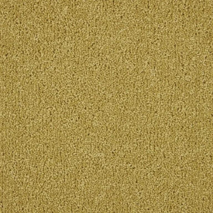 Kingsmead Carpets Artwork 80/20 Wool Felt Backing Chamois Carpet