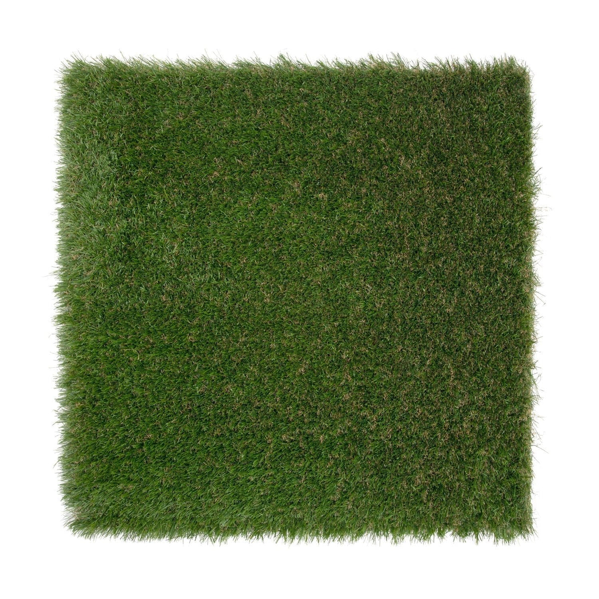 Aspire 35mm Artificial Grass – Grass Cash and Carry Manchester – image 1