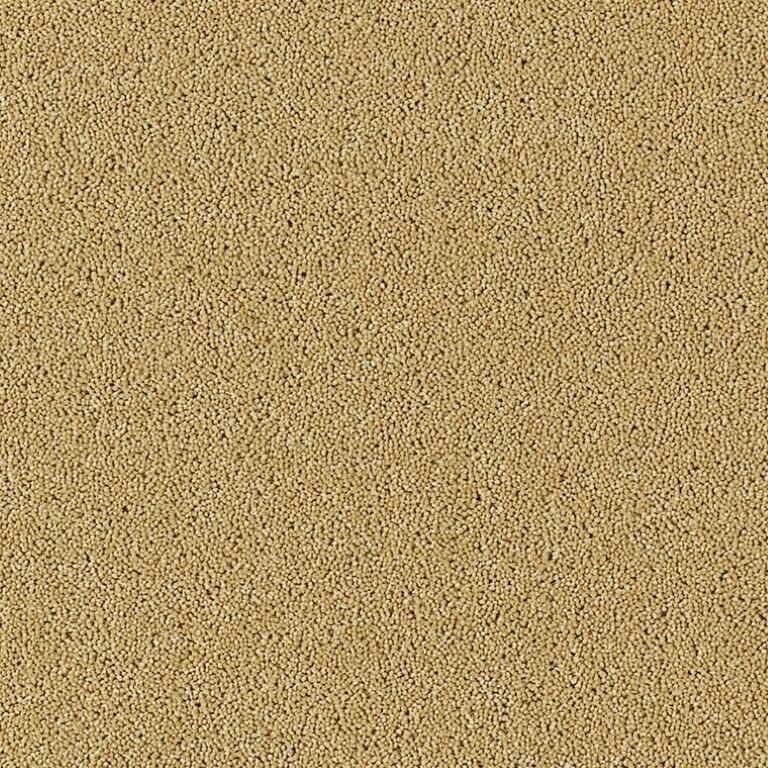 Brintons Bell Twist Heather B186 Kalahari Desert Carpet