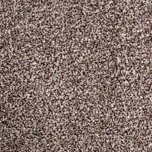 Trafalgar Bark Carpet