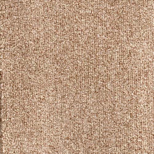 Royal Prestige 2024 Bark Carpet