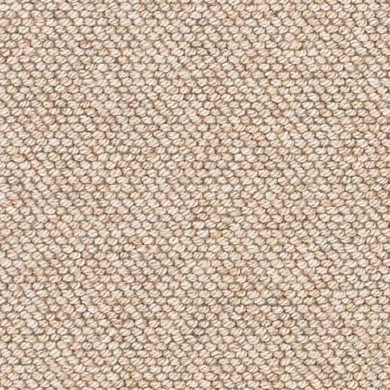 Brockway Carpets Beachcomber Barnacle Carpet