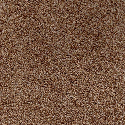 Amalfi 2018 Beaver Carpet