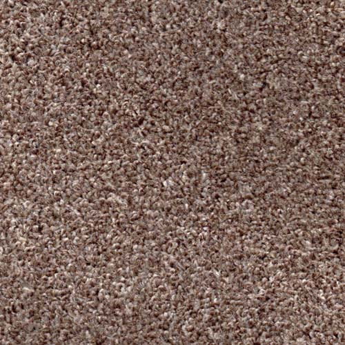 Newport Beaver Carpet