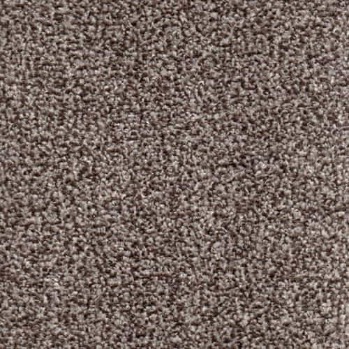 Tramore Tweed Beaver Carpet