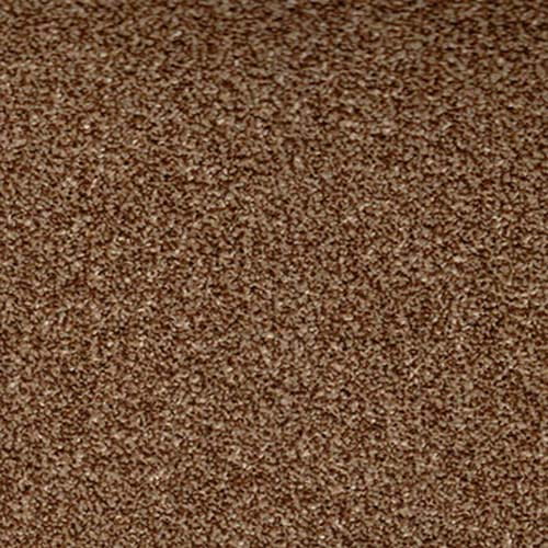 Beverly Hills 2019 Beaver Carpet