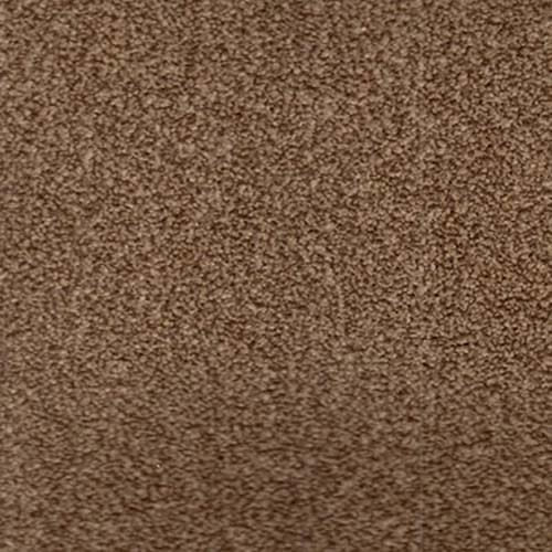 Beverly Hills 2019 Beech Carpet