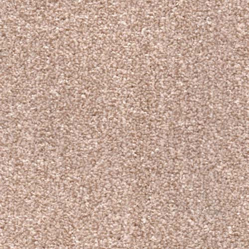 Alpine 2026 Beige Carpet
