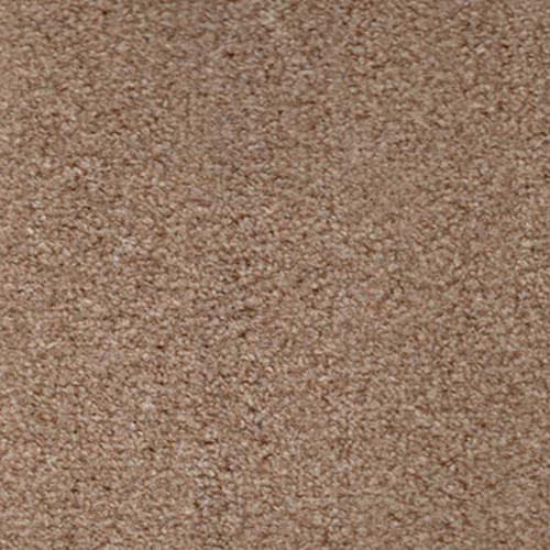 Easy Living 2020 Beige Carpet