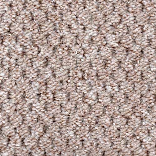 Homestyle Beige Carpet