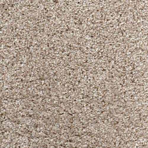 Newport Beige Carpet