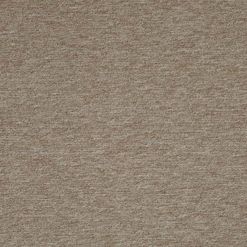 Crusader 2020 Beige Carpet
