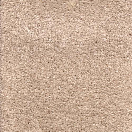 Invicta 2020 Beige Carpet