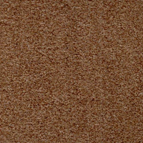 Easy Living 2020 Biscuit Carpet