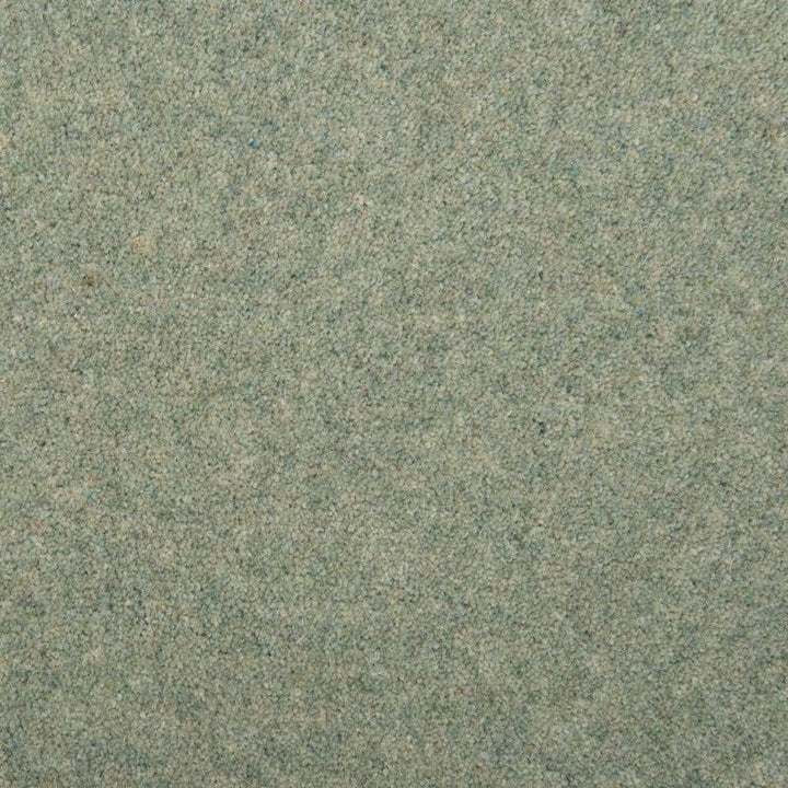 Penthouse Carpets Esprit Nouveau 75oz Bittern Carpet