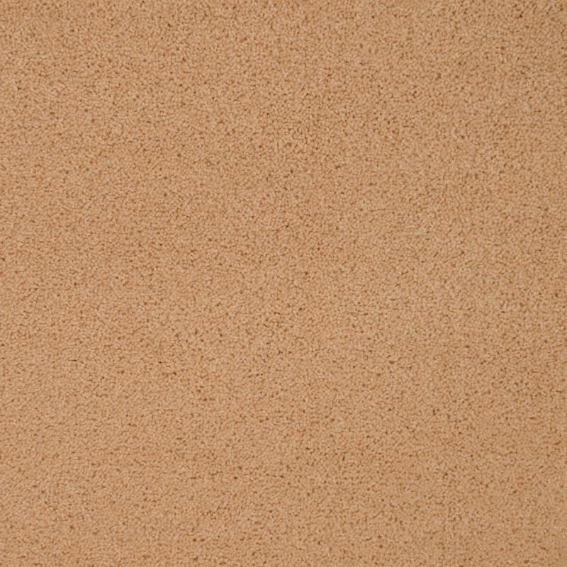Penthouse Carpets Wentworth 50oz Bramham Carpet