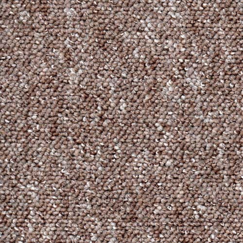 Megastar Brown Carpet
