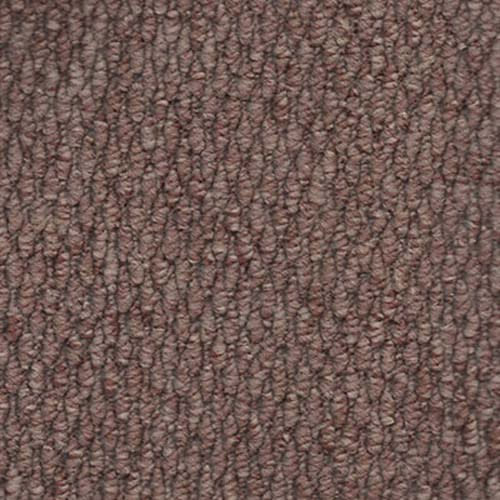 Regatta 2026 Brown Carpet