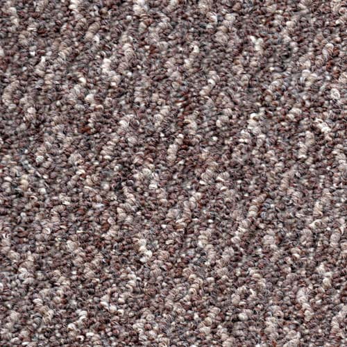 Whitby Brown Carpet