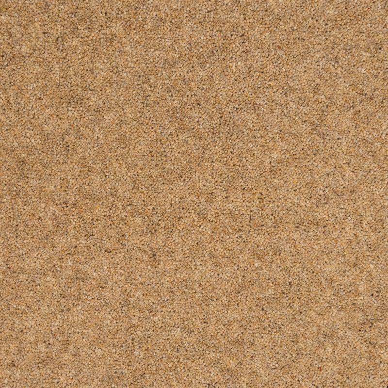 Penthouse Carpets Super Maxim 50oz Bulrush Carpet