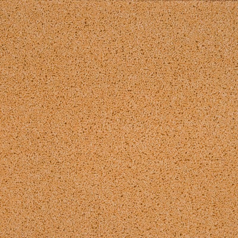 Penthouse Carpets Super Maxim 40oz Cane Carpet