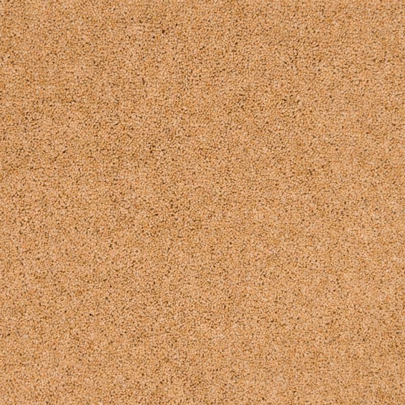 Penthouse Carpets Pentwist Colours 50oz Naturals Canvas Carpet