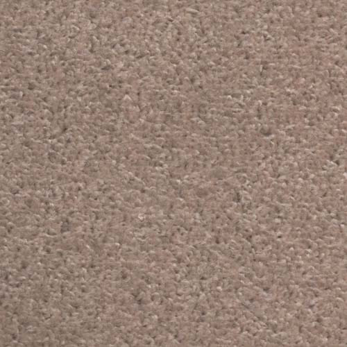Value Twist 2025 Cappuccino Carpet