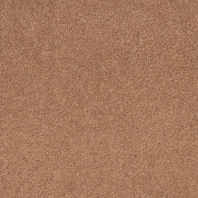 Penthouse Carpets Pentwist Colours 40oz Naturals Cappuccino Carpet