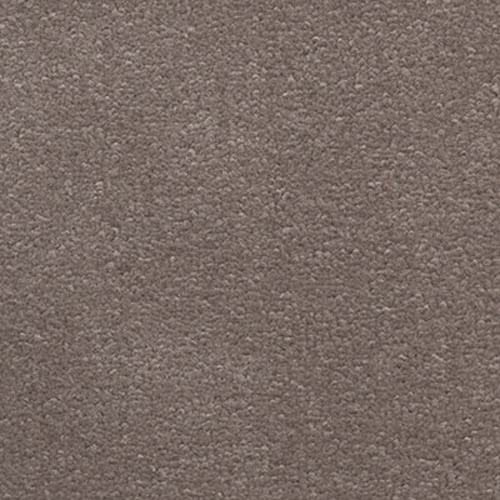Navan 2017 Caramel Carpet